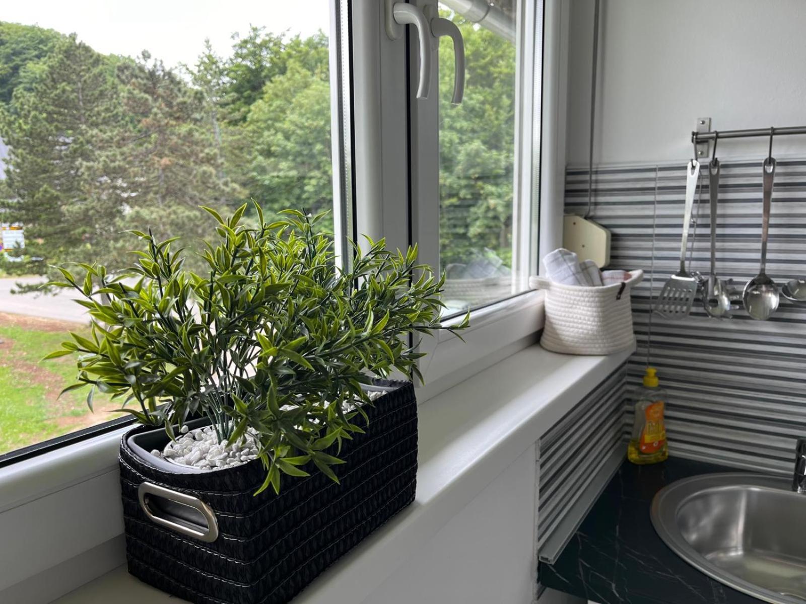 Eva Luxury Rooms & Apartments พลิตวิชกา เยเซรา ภายนอก รูปภาพ